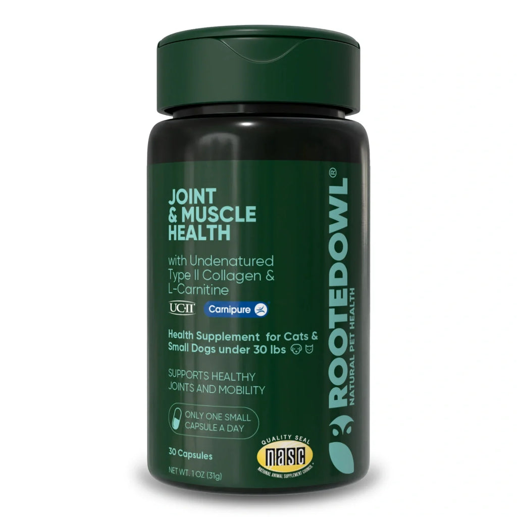 Joint & Muscle Health