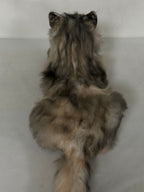 Plush American Tabby Cat Longhair-Handmade Life-Size Companion & Pet Memorial