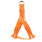 Dog Leashing Vest With Led Illuminated Chest Back