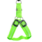 Dog Leashing Vest With Led Illuminated Chest Back
