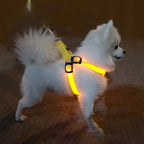 Dog Leashing Vest With Led Illuminated Chest Back