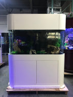 170g Panoramic Reef-Ready Aquarium Set in Unstained