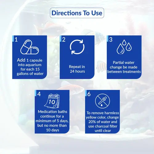 Fish Dox 100mg Capsules for Aquarium Fish – 30 Count – Water Care Support
