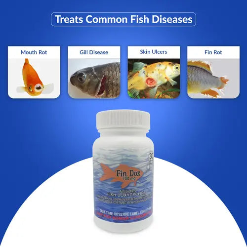 Fish Dox 100mg Capsules for Aquarium Fish – 30 Count – Water Care Support