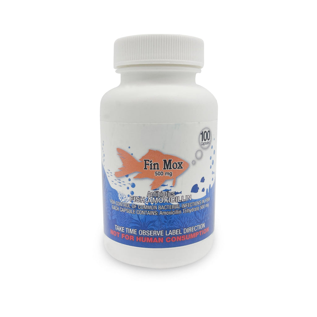Fish Mox 500mg Capsules for Aquarium Fish – 100 Count – Water Care Support