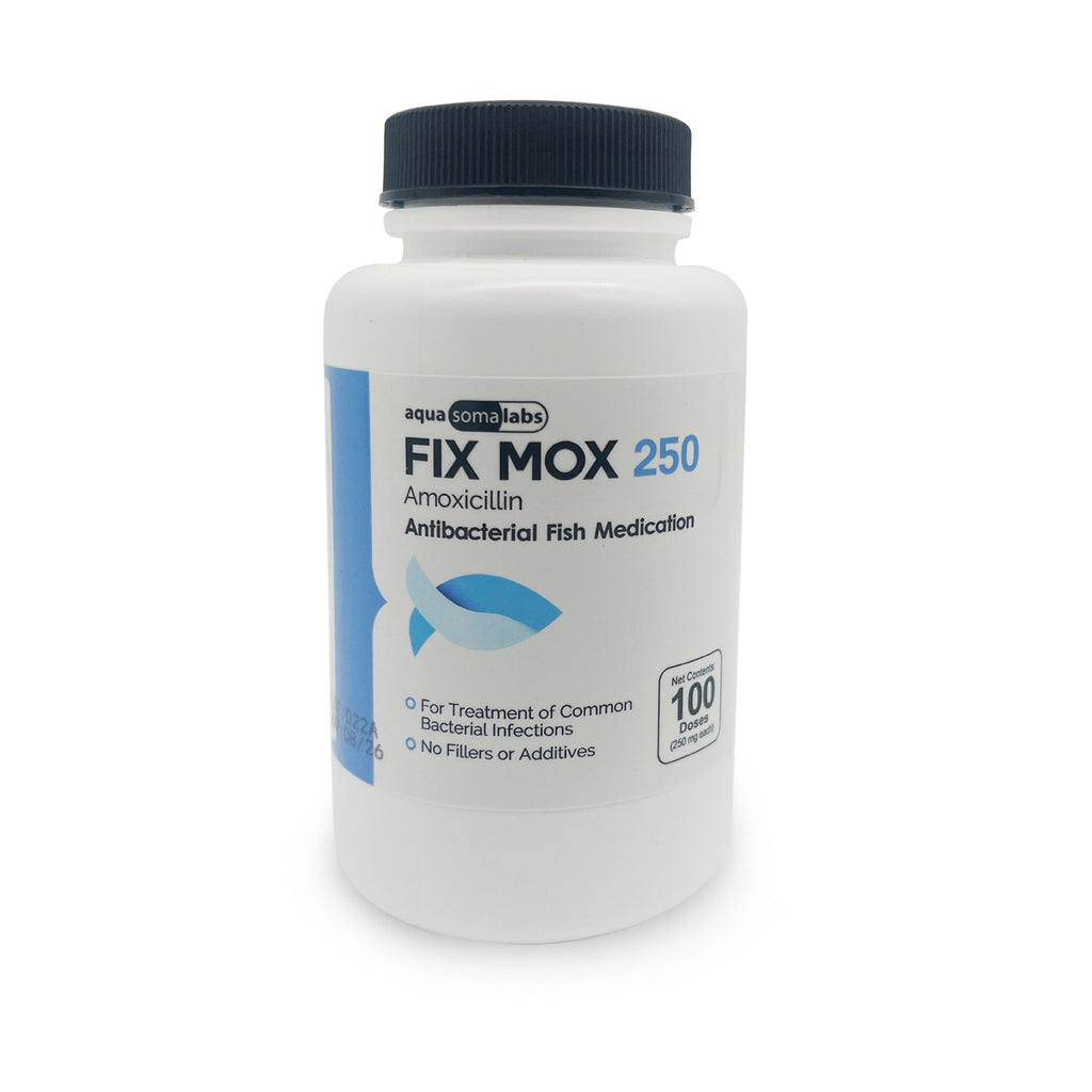 Fish Mox 250mg Capsules for Aquarium Fish – Water Care Support