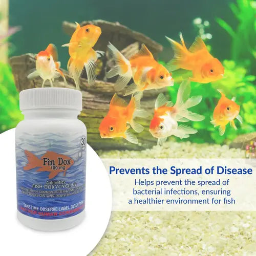 Fish Dox 100mg Capsules for Aquarium Fish – 30 Count – Water Care Support