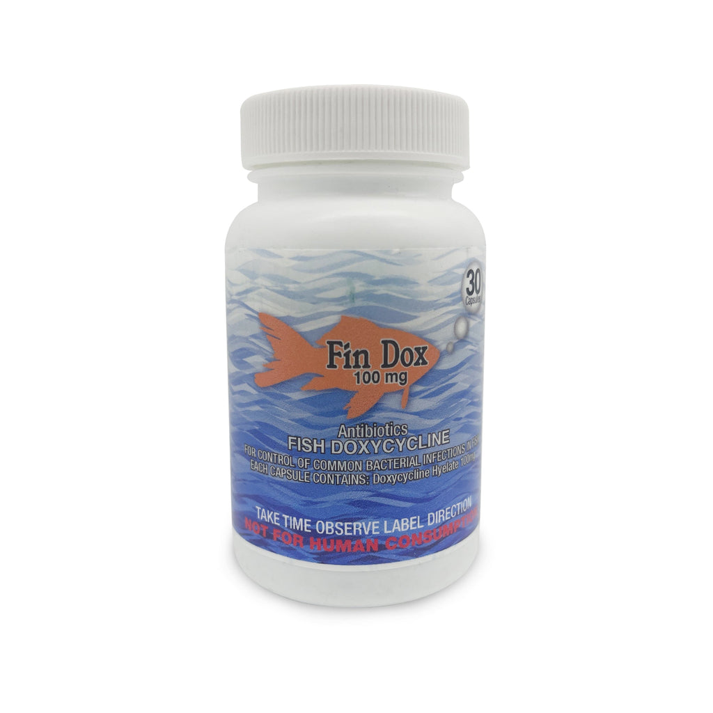 Fish Dox 100mg Capsules for Aquarium Fish – 30 Count – Water Care Support
