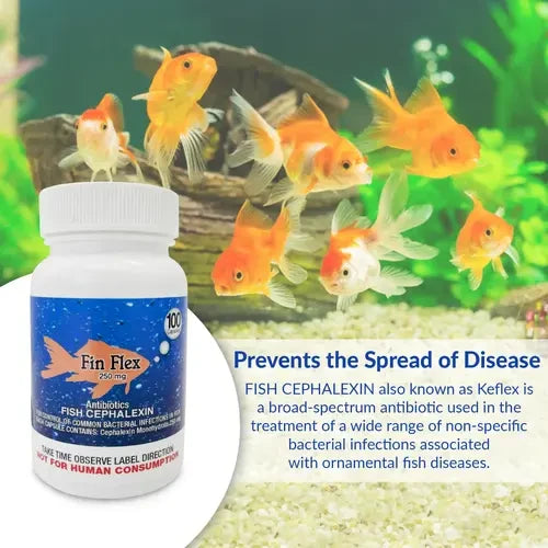 Fish Ceph 250mg Capsules for Aquarium Fish – 100 Count – Water Care Support