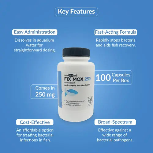 Fish Mox 250mg Capsules for Aquarium Fish – Water Care Support