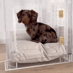 Small Crate (Gold Latch)