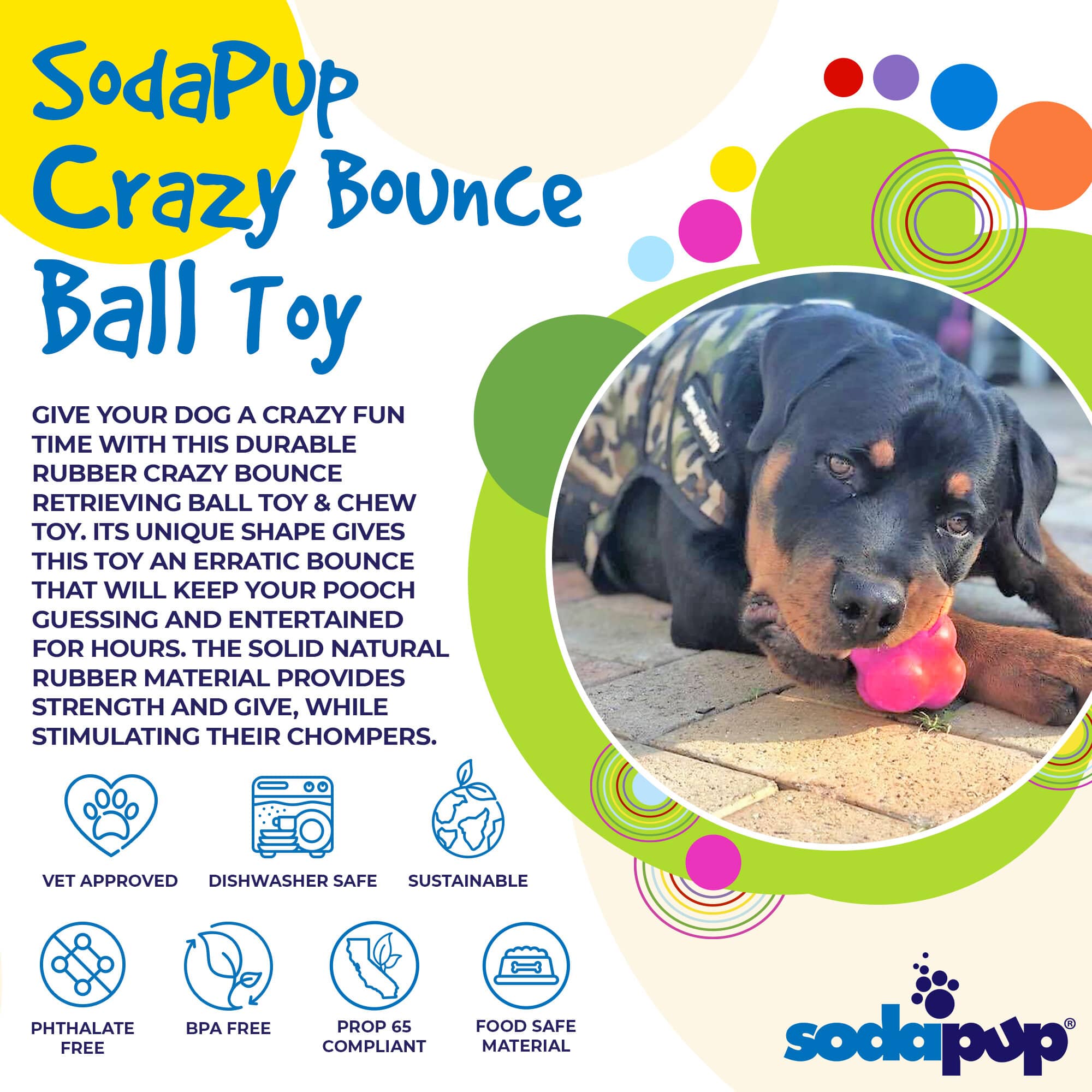 Crazy Bounce Rubber Dog Chew Toy for Power Chewers | Retrieving Ball | USA Made