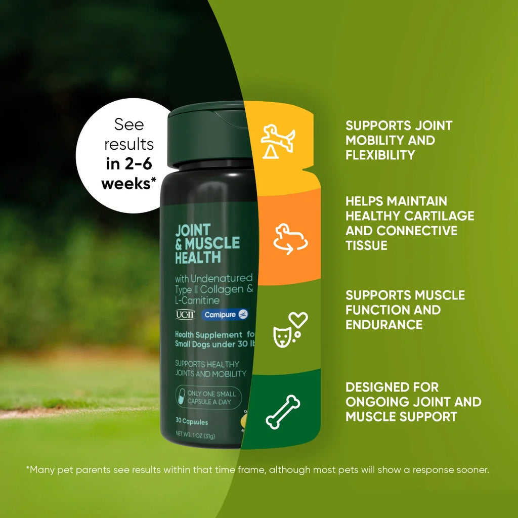 Joint & Muscle Health