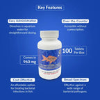 Fish Sulfa 960mg Tablets for Aquarium Fish – 100 Count – Water Care Support