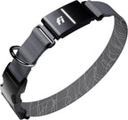 Fi Series 3+ Smart GPS Dog Tracker Collar Health Monitor Waterproof LED