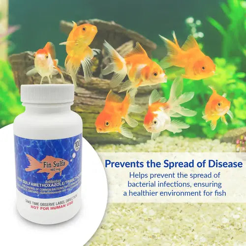 Fish Sulfa 960mg Tablets for Aquarium Fish – 100 Count – Water Care Support