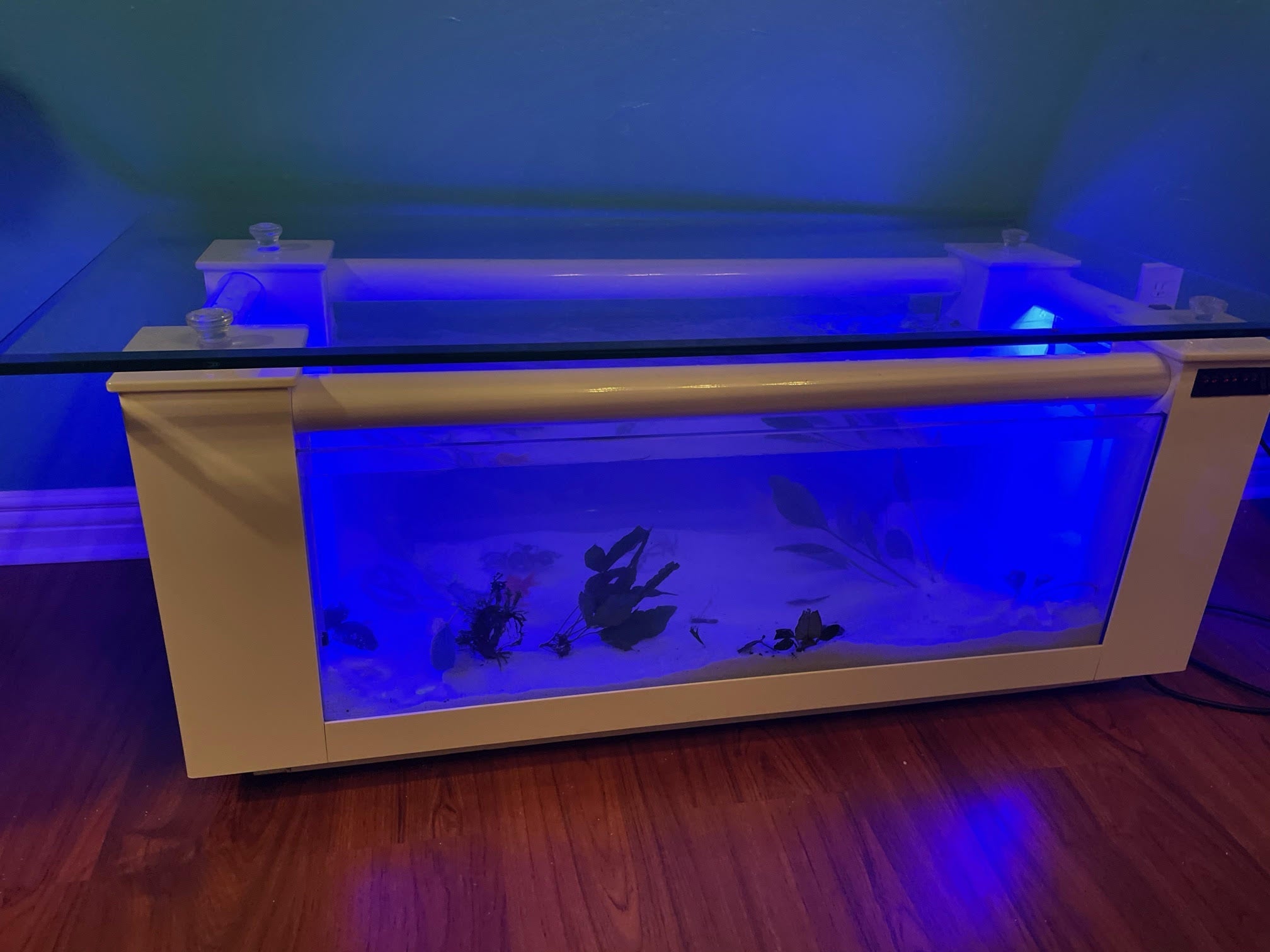 WARRANTY INCLUDED! 45 gallon GLASS rectangle table aquarium fish tank full setup