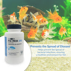 Fish Mox 250mg Capsules for Aquarium Fish – Water Care Support