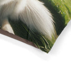 Pet Bed – Plush Dog Bed, 3 Size Options
