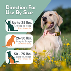 Hista Paws with Quercetin for Dogs and Cats
