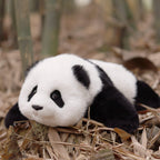 Red Panda ESSA Weighted Stuffed Animal – Snuggle Toy for Relaxation