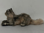 Plush American Tabby Cat Longhair-Handmade Life-Size Companion & Pet Memorial