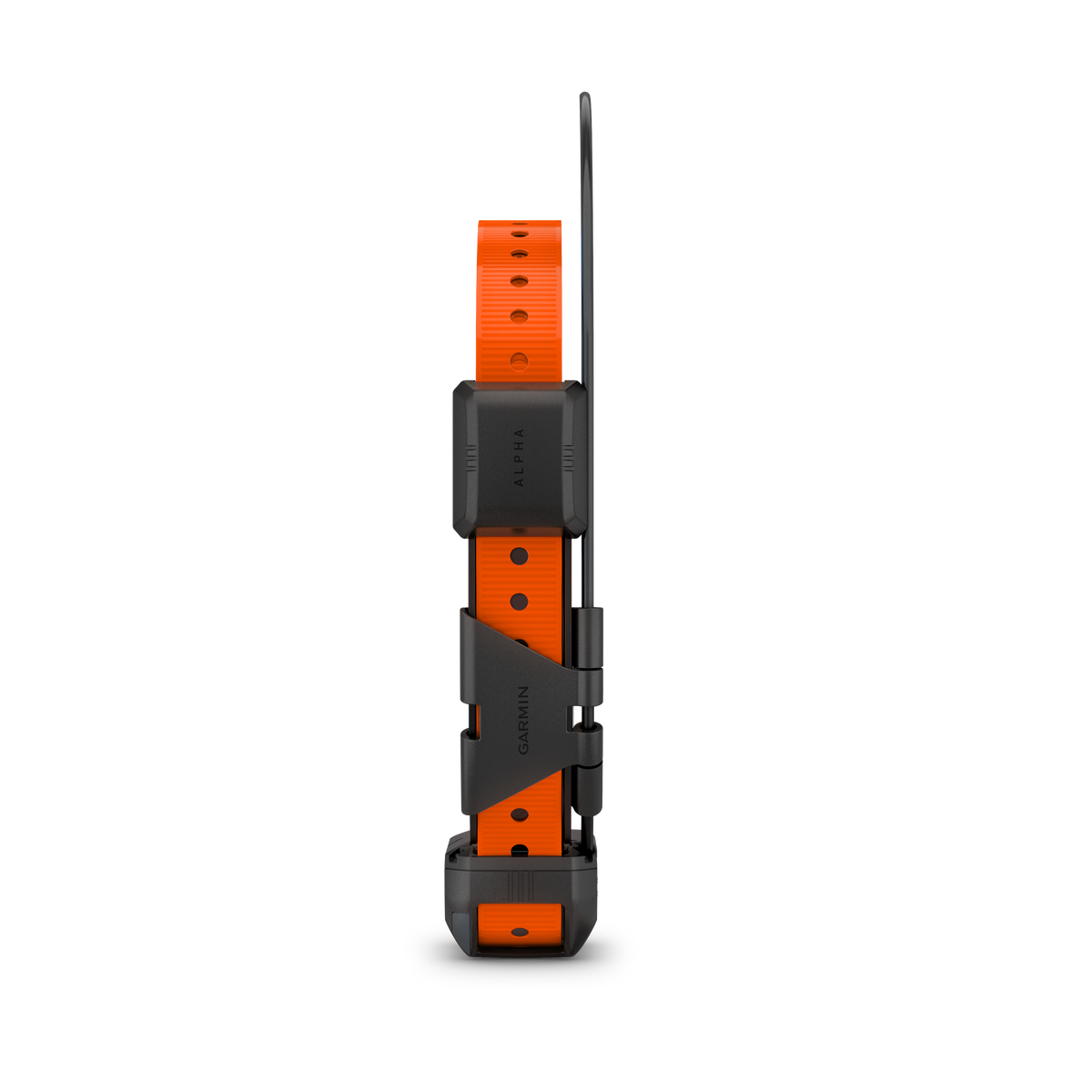 Garmin Alpha® TT 25 Dog Tracking and Training Collar