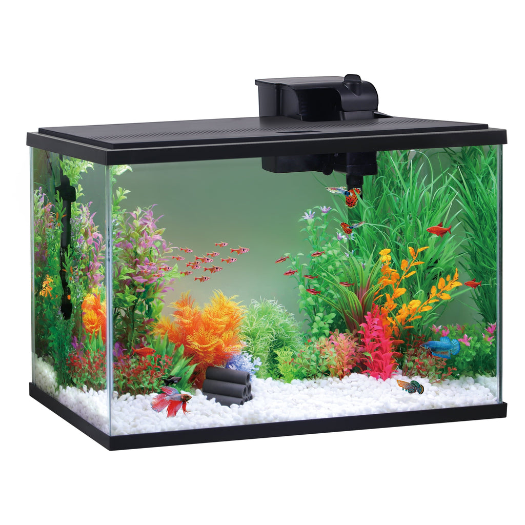 Glass 29 Gallon Aquarium with plastic top only,Black, 30.2''L X 12.44''W X 21.18''H