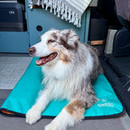 Ultralight Portable Dog Settle Mat: Water-Resistant, USA-Made Place Training Mat