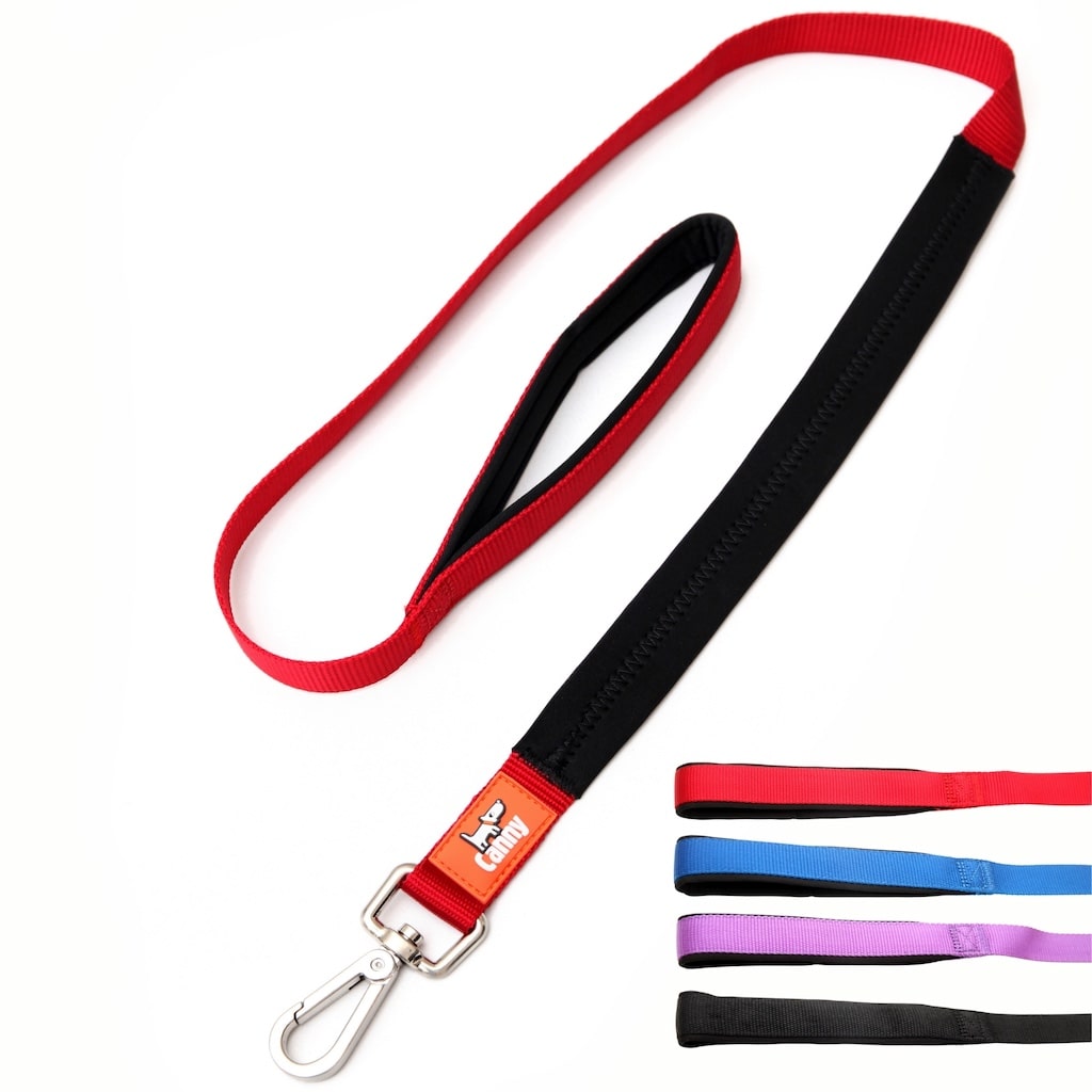 Canny Leash