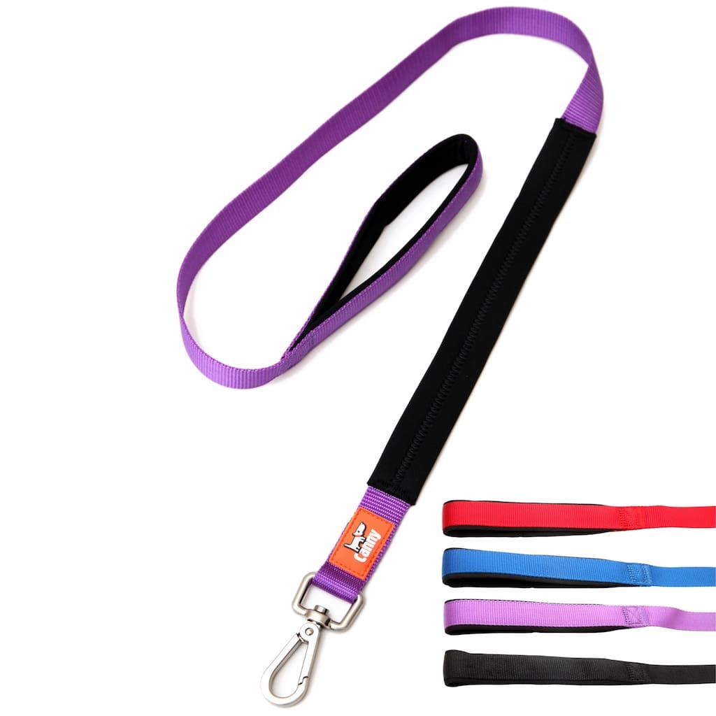 Canny Leash