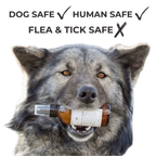 Flea & Tick Spray for Dogs