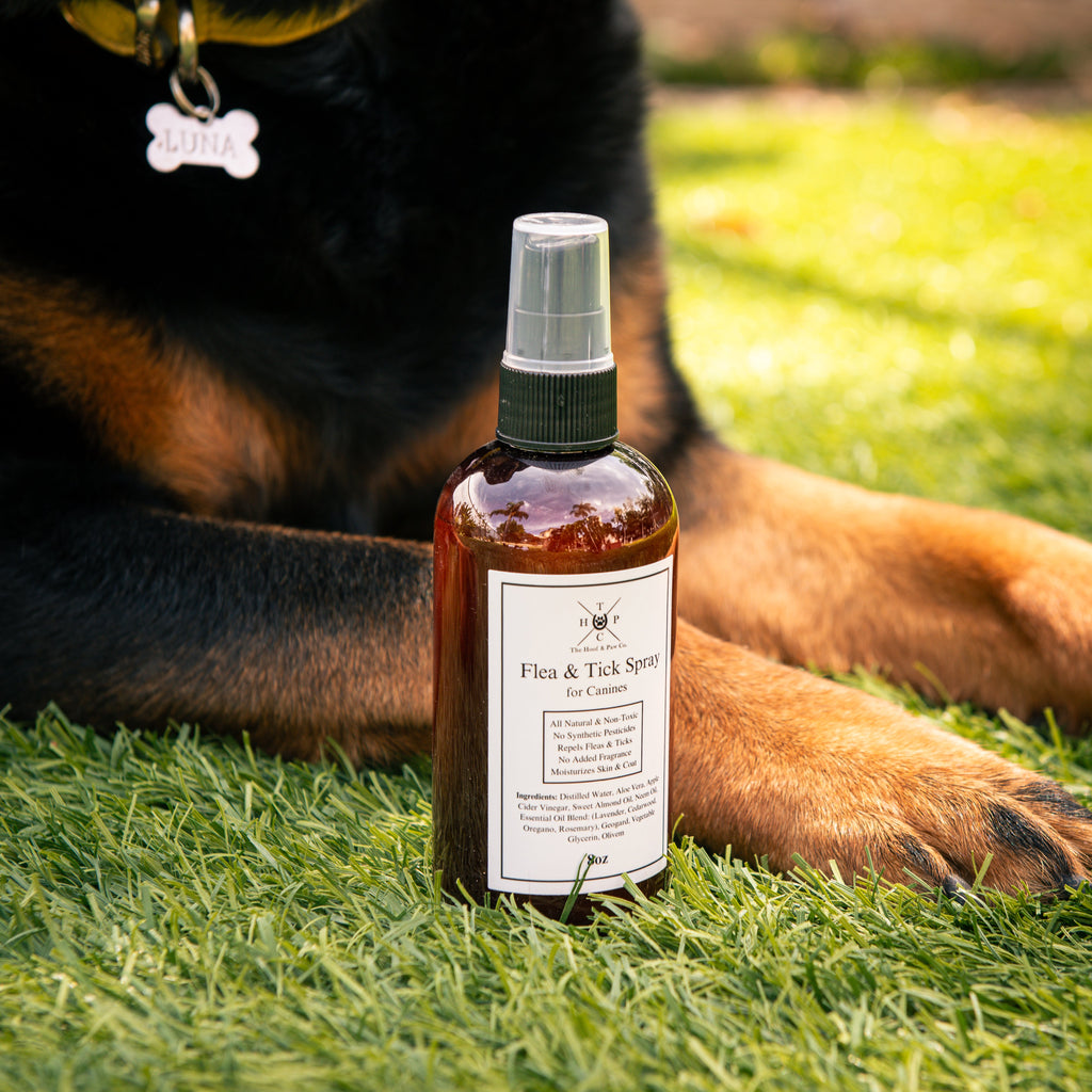 Flea & Tick Spray for Dogs