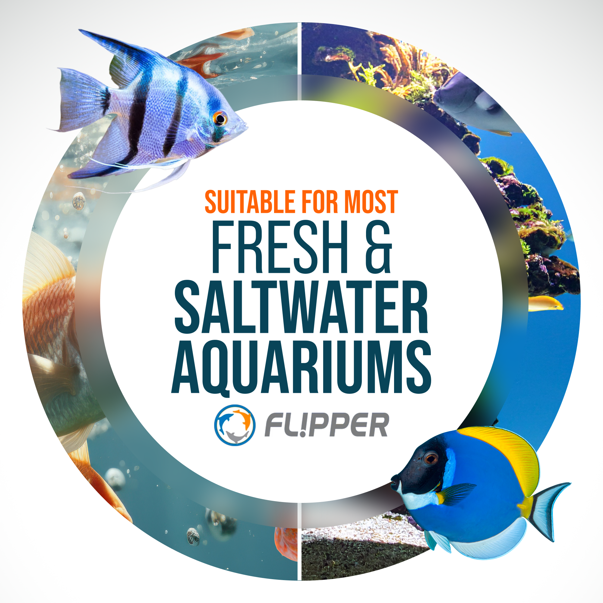 Flipper MAX FLOAT 2 in 1 Magnetic Aquarium Algae Cleaner