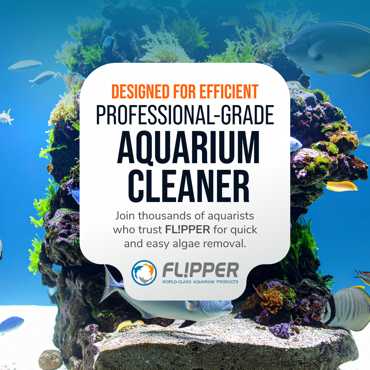 Flipper Edge Limited Edition Clownfish 2 in 1 Floating Magnetic Aquarium Algae Cleaner (STANDARD)