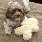 HuggleFleece® Man Plush Dog Toy, Regular