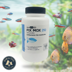 Fish Mox 250mg Capsules for Aquarium Fish – Water Care Support