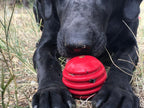 USA-K9 Stars and Stripes Rubber Dog Toy | K9 Handler Reward Toy | Red | USA Made