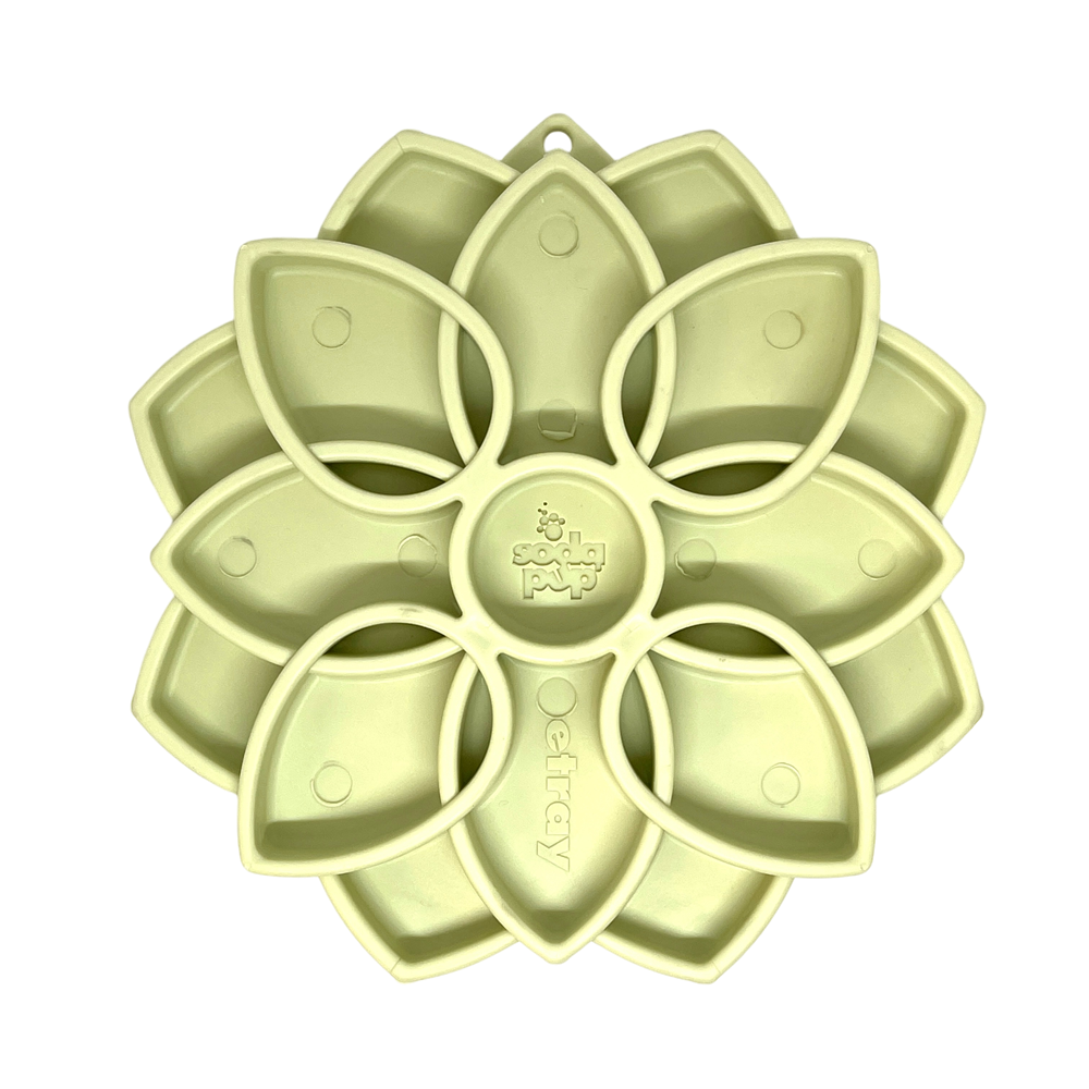 Mandala Softie eTray Shallow Slow Feeder Dog Bowl with Suction Cups |  USA Made