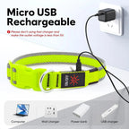 LED Dog Collar USB Rechargeable Light Up Safety Collar - All Colors/ Sizes