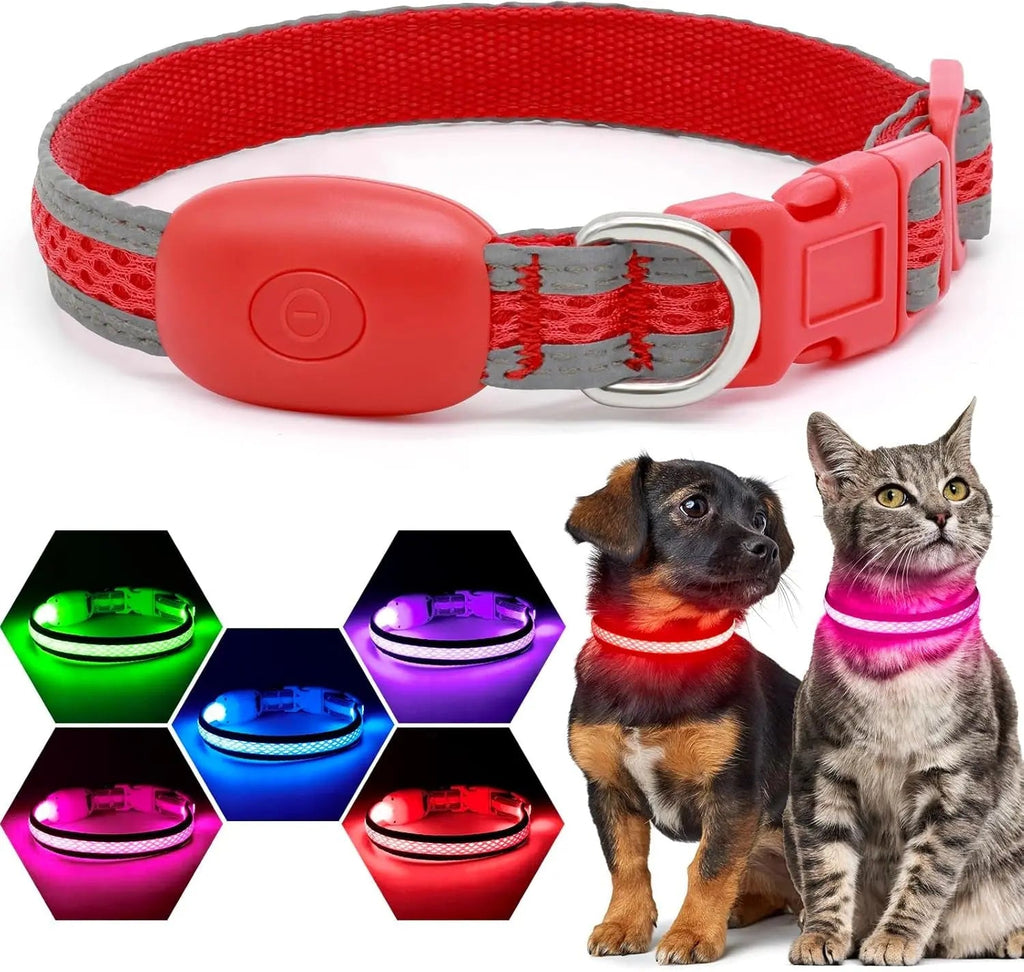 LED Dog Collar USB Rechargeable Light Up Safety Collar - All Colors/ Sizes