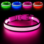 LED Dog Collar USB Rechargeable Light Up Safety Collar - All Colors/ Sizes