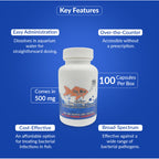 Fish Mox 500mg Capsules for Aquarium Fish – 100 Count – Water Care Support