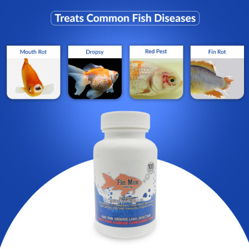Fish Mox 500mg Capsules for Aquarium Fish – 100 Count – Water Care Support