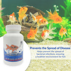 Fish Mox 500mg Capsules for Aquarium Fish – 100 Count – Water Care Support