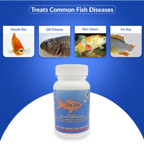 Fish Zole 250mg Tablet for Aquarium Fish – 30 Count – Water Care Support