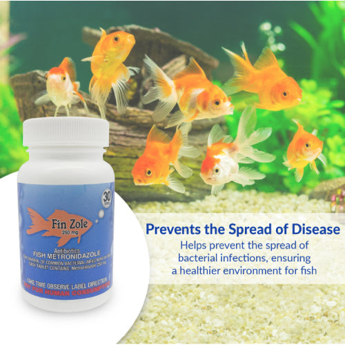 Fish Zole 250mg Tablet for Aquarium Fish – 30 Count – Water Care Support