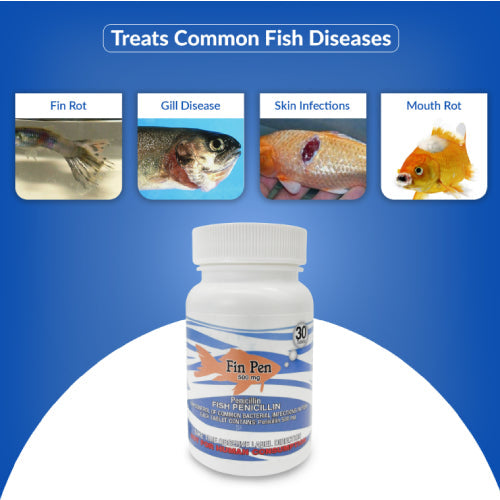Fish Pen 500mg Tablet for Aquarium Fish – 30 Count – Water Care Support