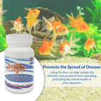 Fish Pen 500mg Tablet for Aquarium Fish – 30 Count – Water Care Support