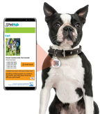 PetHub QR ID Pet Tag - KIss Me I'm Rescued